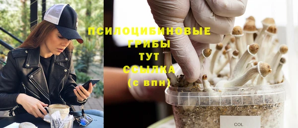 метадон Вяземский
